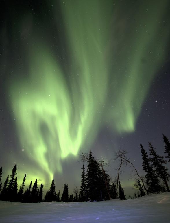 Aurora Inn Dawson City Exteriér fotografie